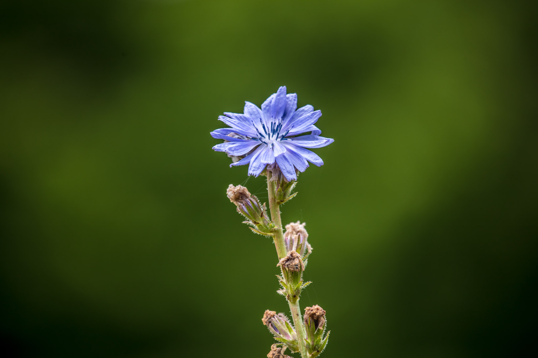 20210725100644 017884